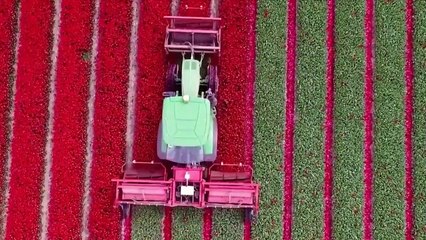 10 AMAZING AGRICULTURE TECHNOLOGIES