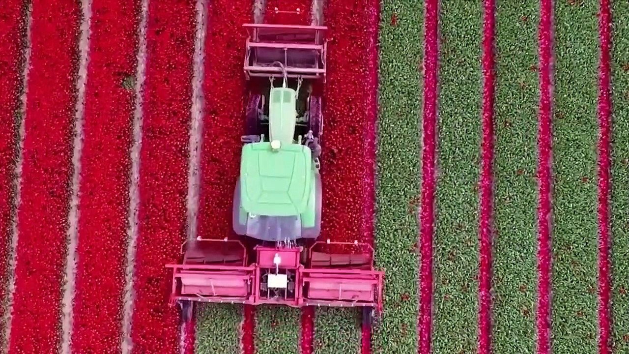 10 AMAZING AGRICULTURE TECHNOLOGIES