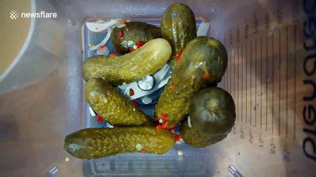 Would you dare eat PICKLE flavored gelato?