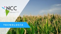 Bélgica homologa la medición de pesticidas en alimentos