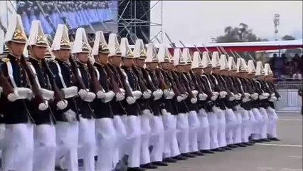 La unidad canina del ejército de Chile acapara los focos en el desfile para conmemorar la independencia