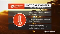 Tips on preventing hot car deaths