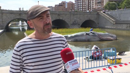 Un cachalote varado en el Manzanares, parte del programa CiudaDistrito