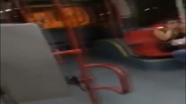 El estudio de la agresividad de los conductores españoles, premio IG Nobel de la Paz