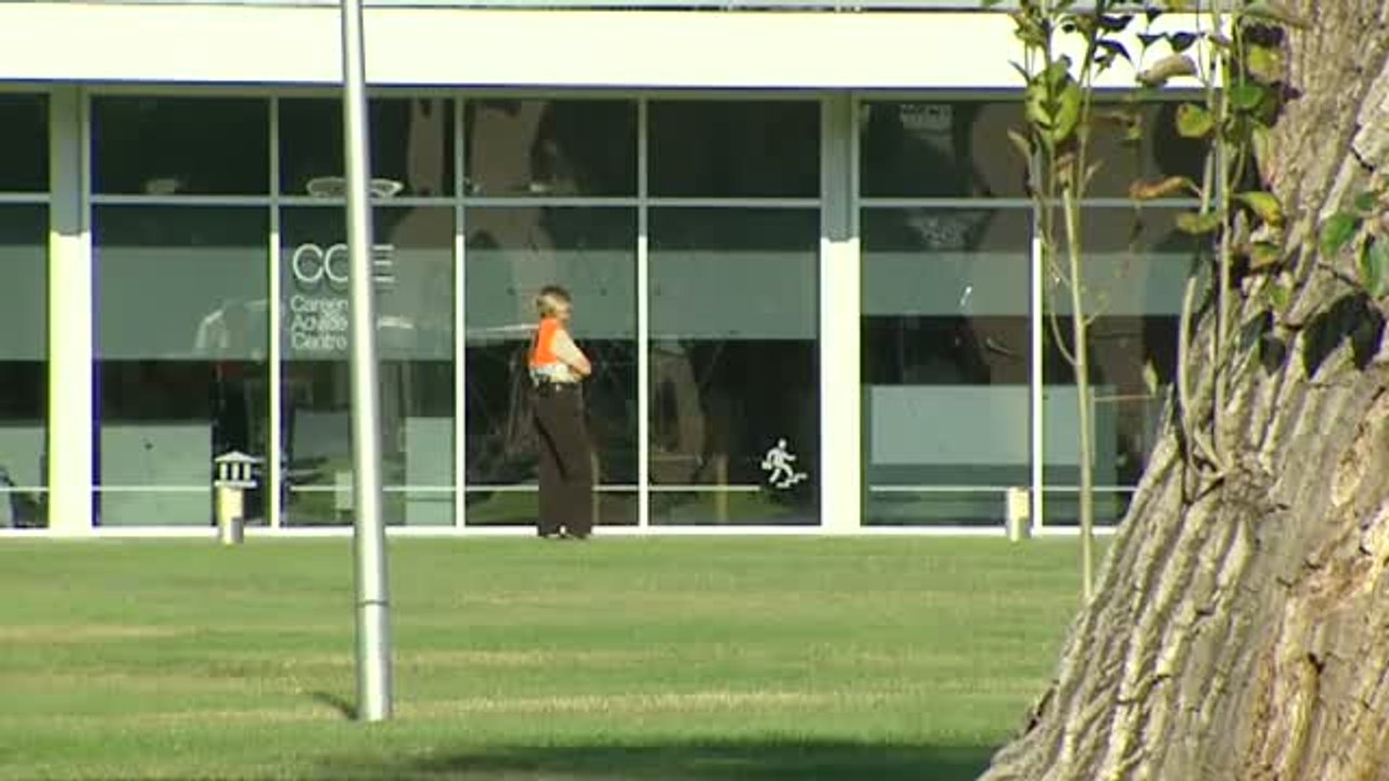 Turnos para leer la tesis de Pedro Sánchez