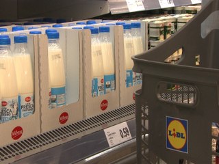 Lidl ofrecerá leche fresca de pastoreo y de bienestar animal
