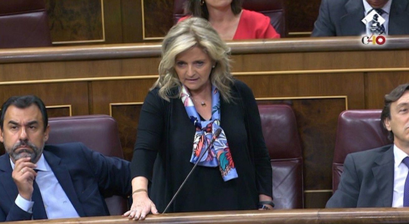 PP cree que la "dejación de funciones" de Delgado es motivo de dimisión