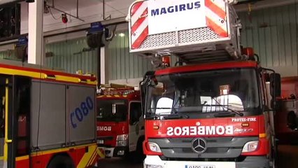 Un hombre llama a los bomberos en Sevilla para que rescaten a un gato y le cobran el servicio