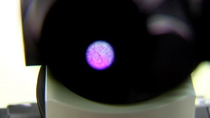 El atto-reloj y las capas de invisibilidad, protagonistas de la XXV Escuela Internacional de nanofotónica
