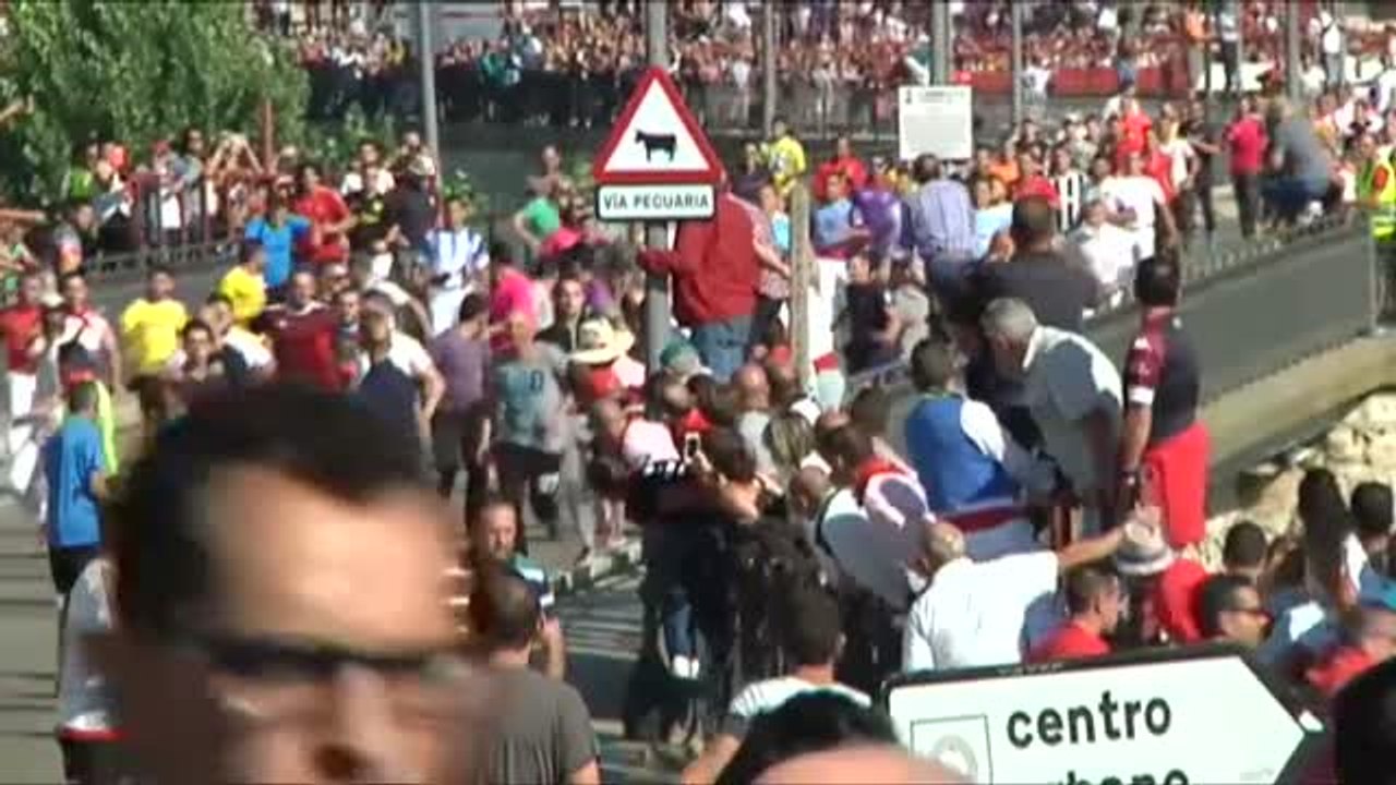 Sólo unos pocos vecinos de Tordesillas reclaman la vuelta del Toro de la Vega "de antes": "Ya no le matamos ni nada, esto es una ruina"