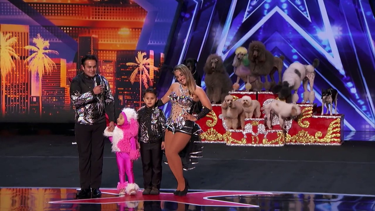 Cute Animal Act! Dominguez Poodles Perform Fun Tricks!
