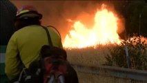 Más de 2.000 hectáreas calcinadas en un incendio en California