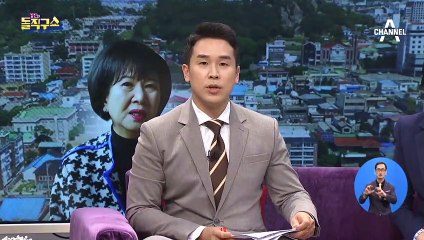 “마치 도박사가 심리전하 듯…” 손혜원 심리 분석