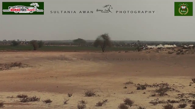 Fast Drift Turn, Toyota Tacoma - Sahibzada Sultan, Cholistan500 Offroad Desert Rally_2018