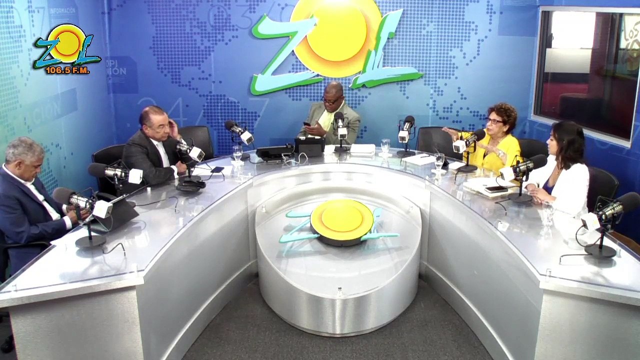 Faride Raful: "El PRM ha sido coherente en que no apoyara la reforma constitucional".