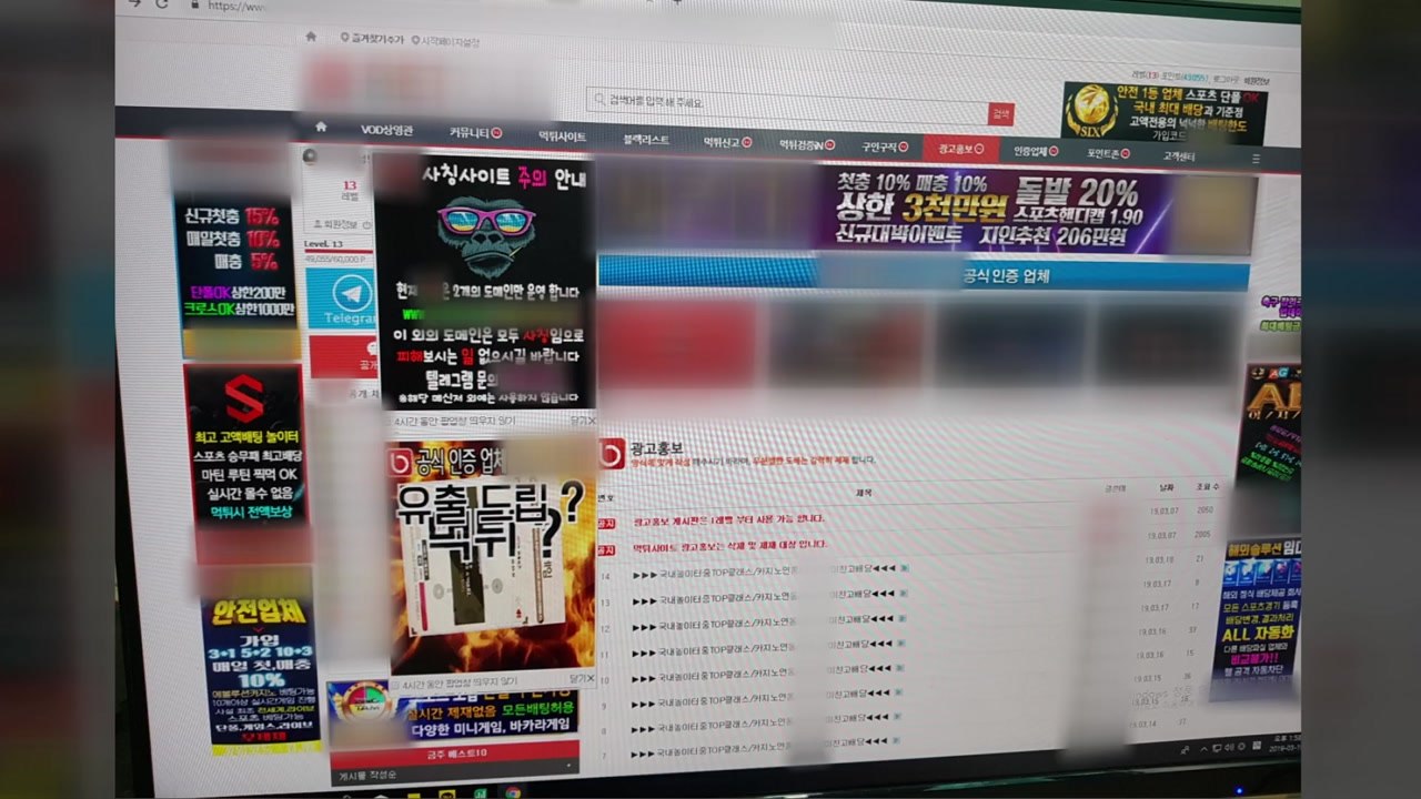 두 달간 판돈 50억...불법 도박 사이트 적발 / YTN
