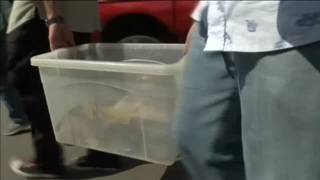 Algunas piezas del Museo Nacional de Río de Janeiro han podido salvarse