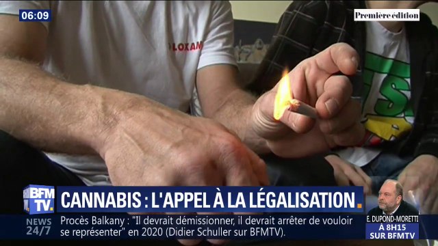 Faut-il légaliser le cannabis ? Médecins et personnalités politiques appellent à sa légalisation au nom du pragmatisme