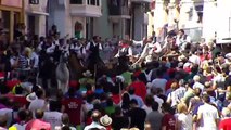 La localidad castellonense de Segorbe se viste de fiesta con sus Toros y Caballos