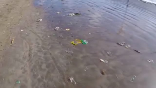 ¿Debemos dejar de hacer turismo?