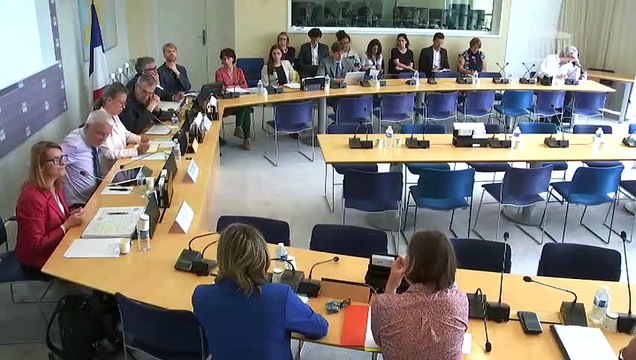 Commission des Affaires européennes : table ronde sur le socle européen des droits sociaux - Mercredi 19 juin 2019