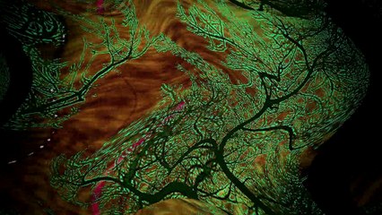 Gray stuff peppers Episdoe 7 Dirty poop words Dream