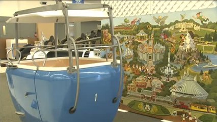 Disneyworld, a subasta