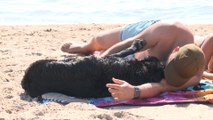 La playa canina de Pinedo afronta su tercer verano en funcionamiento