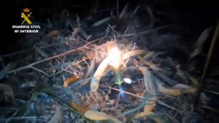 Un agricultor se encuentra en un monte de Negreira (A Coruña) un artefacto incendiario