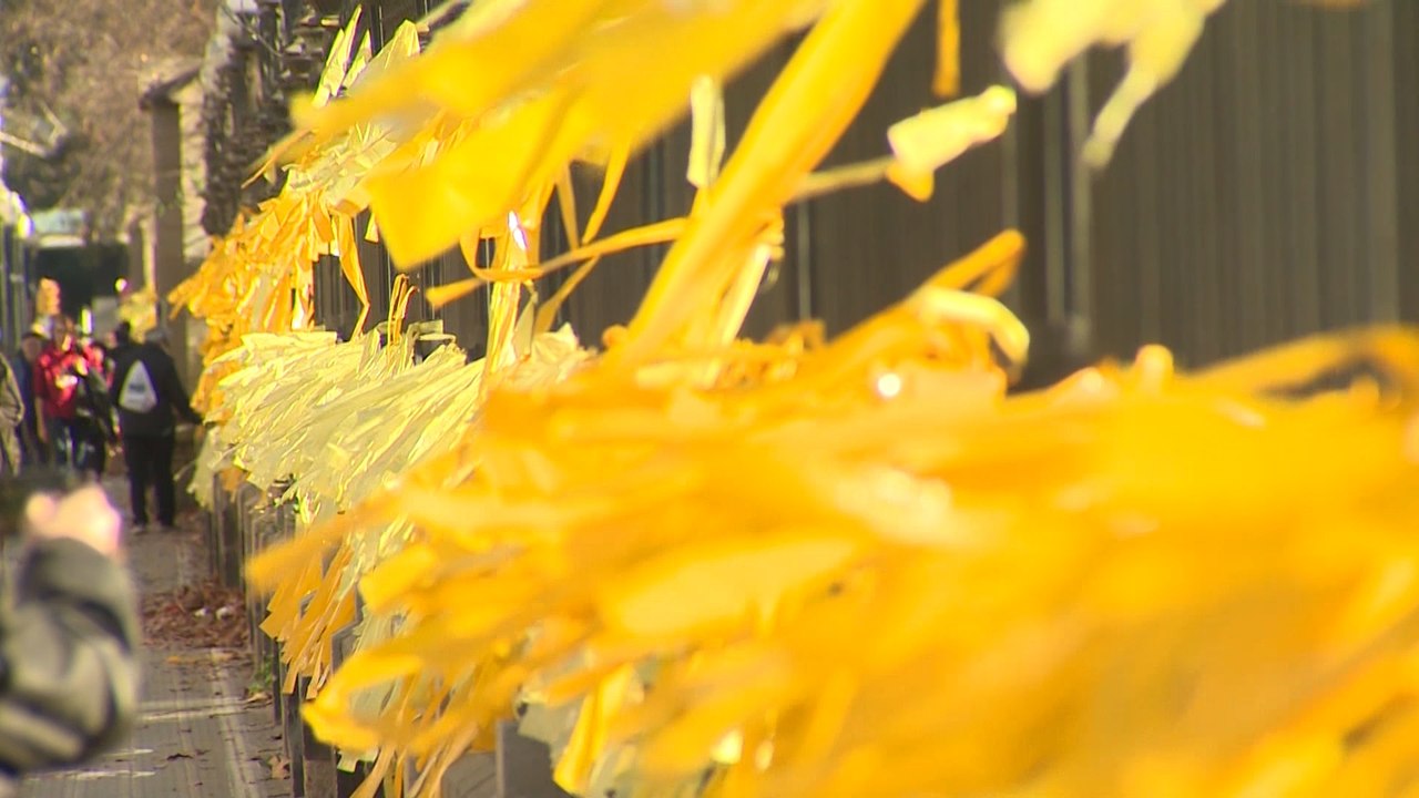 Denuncia por querer multar a aquellos que quitan lazos amarillos