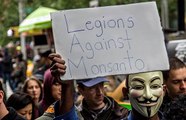 Monsanto perd tous ses procès à cause de ses pesticides