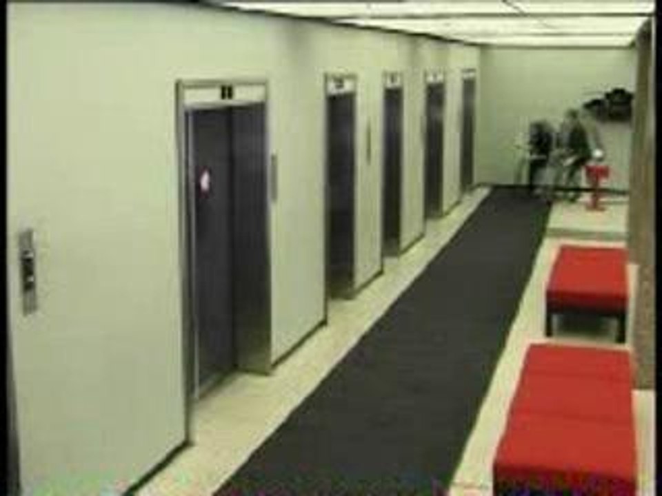 Que-faire-quand-le-chef-n-est-pas-la-!