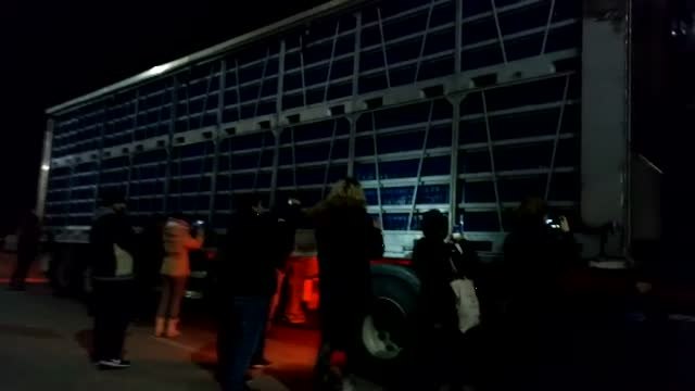 Nueva vigilia vegana frente a una granja de pollos en Algemesí, en Valencia