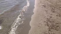 Las aguas del Mar Menor vuelven a ser transparentes