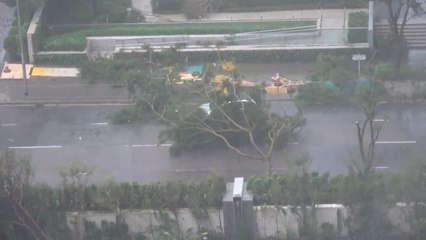 El supertifón 'Mangkhut' deja 213 heridos en Hong Kong