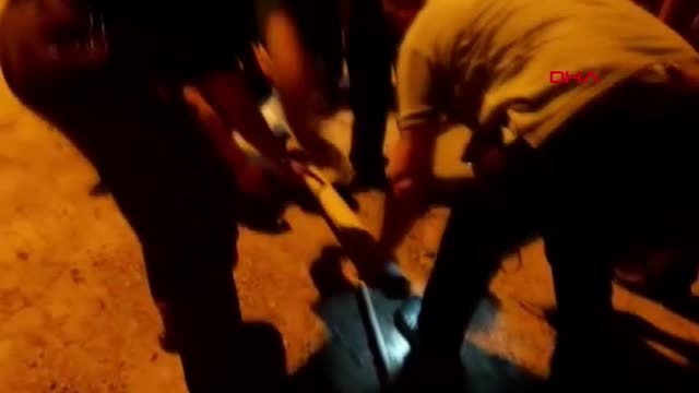 SAMSUN Elektrik direği içinde sıkışan kedi kurtarıldı