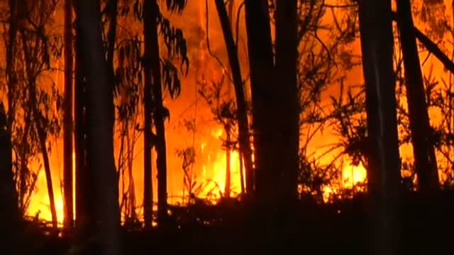 Los bomberos controlan dos incendios en Tomiño (Pontevedra)