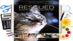 Full E-book  Rescued: The Stories of 12 Cats, Through Their Eyes Complete
