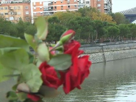Volaban las sillas y las mesas y los chavales, mientras, a palos