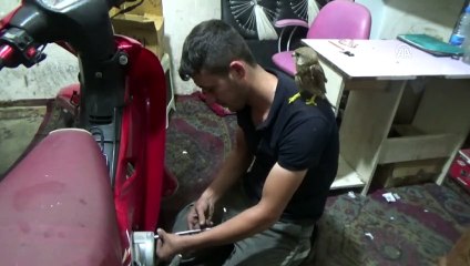 Yaralı şahin tedavi altına alındı - KONYA