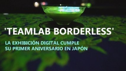 La exhibición Teamlab Borderless cumple su primer aniversario en Japón