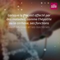 La brosse à dents se révèle aussi une arme efficace contre le #cancerdufoie !