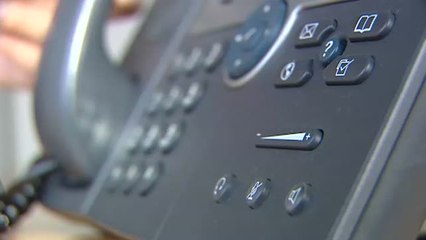 A la venta un león disecado por 6.000 euros