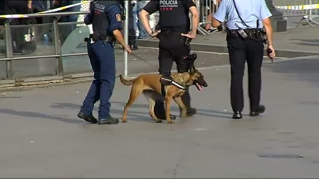 Barcelona recuerda a las víctimas de los atentados de Las Ramblas y Cambrils con un acto oficial en la plaza Catalunya