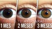 7 alimentos que debes consumir para cambiar el color de tus ojos