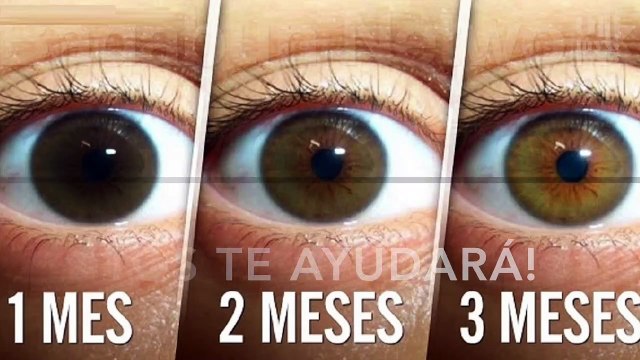 7 alimentos que debes consumir para cambiar el color de tus ojos