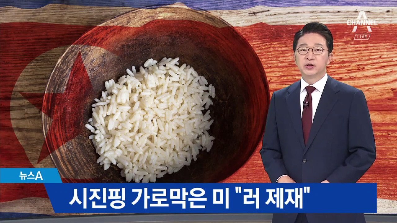 韓, 쌀 지원·美, 러시아 제재…시진핑 방북에 엇갈린 행보