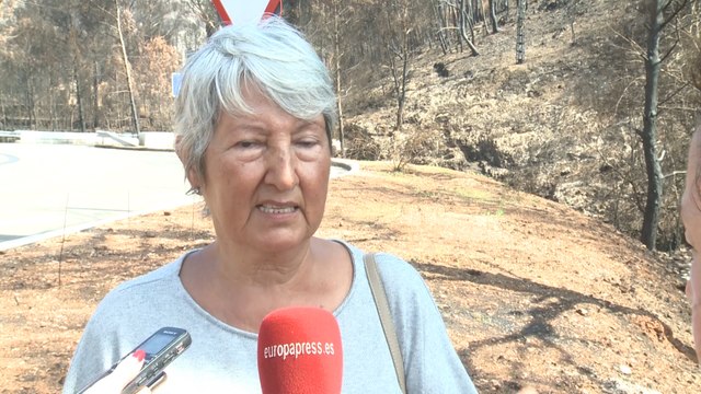 Vecinos de Montepino denuncian que Ayto no ha limpiado los bosques