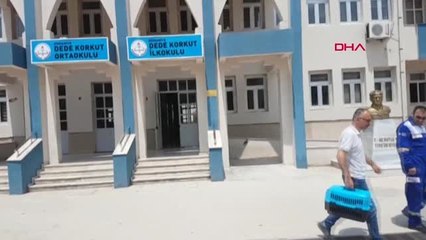 OSMANİYE DOĞUM SIRASINDA ANNELERİ ÖLEN YAVRU KEDİLERE SÜT ANNE ARANIYOR