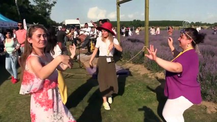 Lavanta moru Edirne'nin tanınırlığını artırdı - EDİRNE